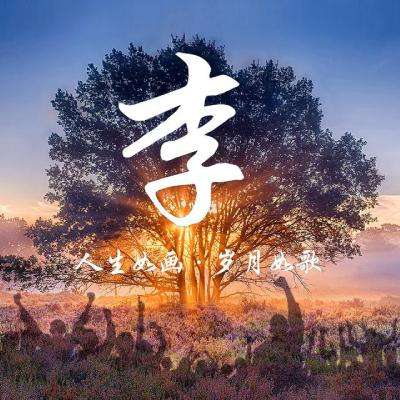 北京台湖爵士音乐节奏响中外文化交流新旋律
